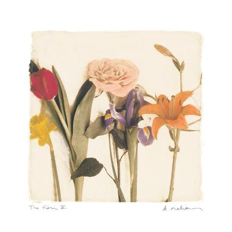 Art Print: Tre Fiori IV by Amy Melious: 12x12in