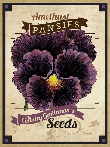 Giclee Print: Seed Packet - Pansy by The Saturday Evening Post: 12x9in