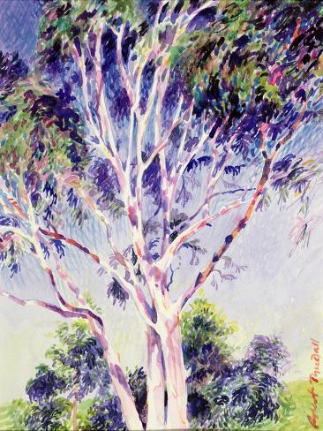 Giclee Print: Gum Tree, Australia by Robert Tyndall: 12x9in