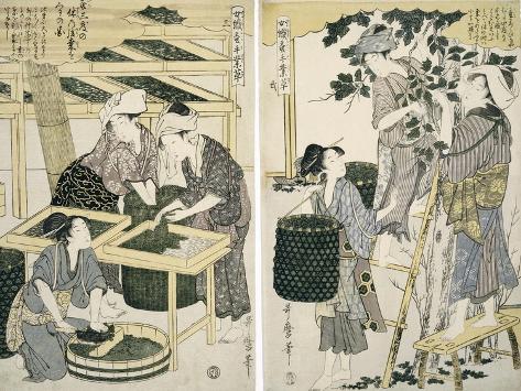 Giclee Print: Silk-Worm Culture by Women by Kitagawa Utamaro: 12x9in