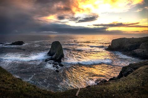 Art Print: Pacific Cove by Andy Amos: 18x12in