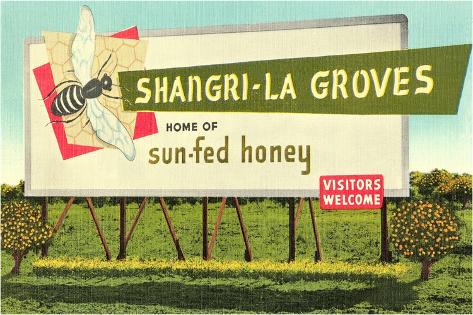 Art Print: Honey Billboard: 18x12in