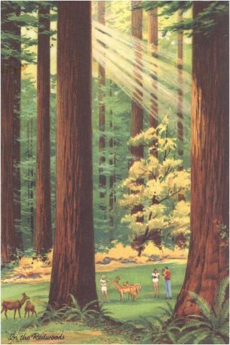 Art Print: Redwoods Scene with People and Deer: 18x12in