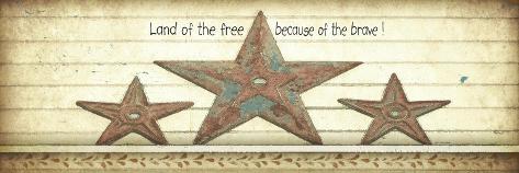 Art Print: Land of the Free by Jo Moulton: 24x8in