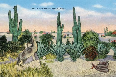 Art Print: Texas - View of a Cowboy's Bedfellows, Cacti, Coyote, and a Rattlesnake, c.1940 by Lantern Press: 18x12in