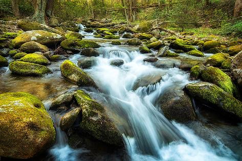 Art Print: Moss Rocks by Andy Amos: 18x12in