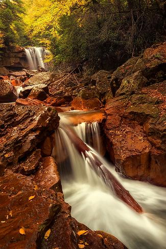 Art Print: Natures Path by Andy Amos: 18x12in