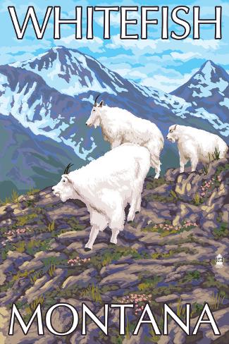 Art Print: Whitefish, Montana - Mountain Goat Family by Lantern Press: 18x12in