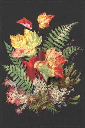 Art Print: Bouquet of Ferns and Leaves: 18x12in