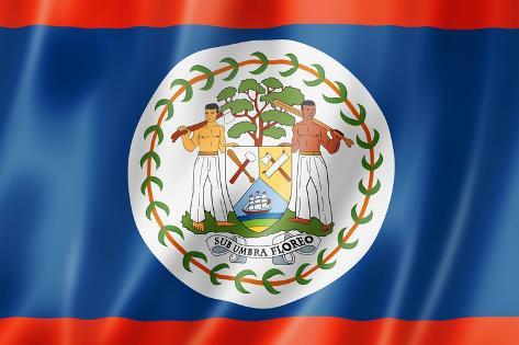 Art.com Art print: belize flag by daboost: 18x12in