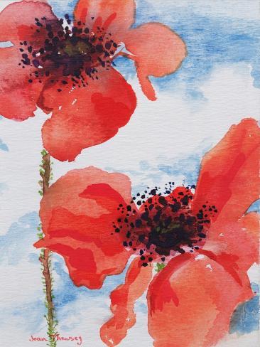 Giclee Print: Poppies by Joan Thewsey: 12x9in
