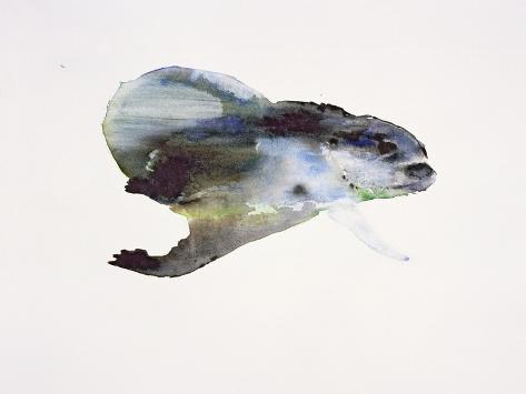 Giclee Print: Underwater by Mark Adlington: 12x9in