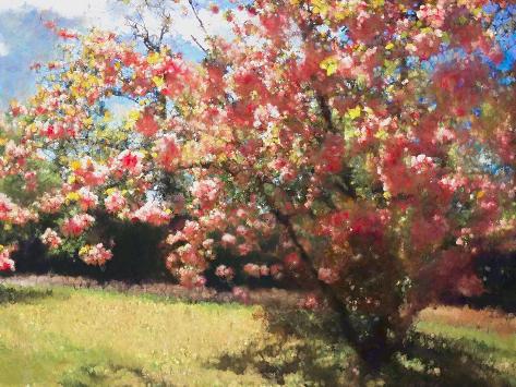 Giclee Print: Cherry Blossom, 2018 by Helen White: 12x9in