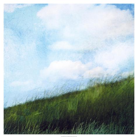 Art Print: Bright Field II by Ingrid Blixt: 12x12in