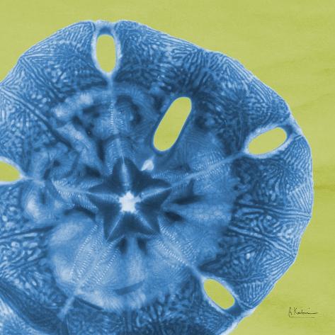 Art Print: Neon Sand Dollar by Albert Koetsier: 12x12in