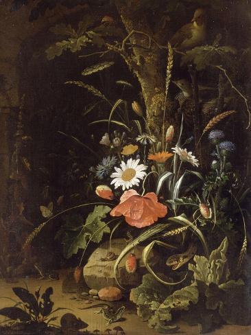 Giclee Print: Fleurs, oiseaux, insectes et reptiles by Abraham Mignon: 12x9in