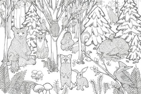 Art Print: Color the Forest XIII by Elyse DeNeige: 18x12in