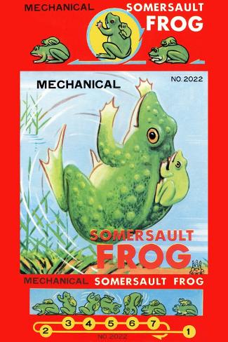 Art Print: Mechanical Somersault Frog: 18x12in