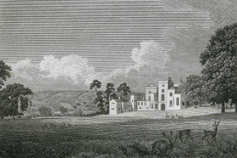 Art Print: Powderham Castle, Devon by WM Craig: 18x12in