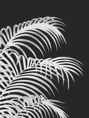 Art Print: Palm Leaf 1, White On Black by Fab Funky: 12x9in