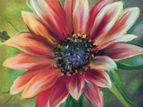 Giclee Print: Sundrenched by Mindy Sommers: 12x9in