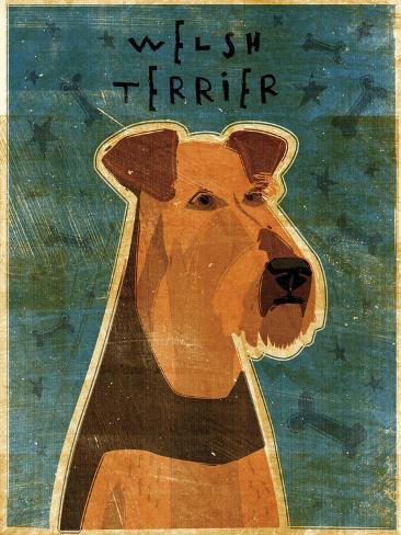 Giclee Print: Welsh Terrier by John W Golden: 12x9in