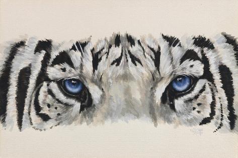 Giclee Print: Eye-Catching White Tiger by Barbara Keith: 18x12in