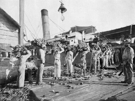 Giclee Print: Loading Bananas, Port Antonio, Jamaica, C1905 by Adolphe & Son Duperly: 12x9in