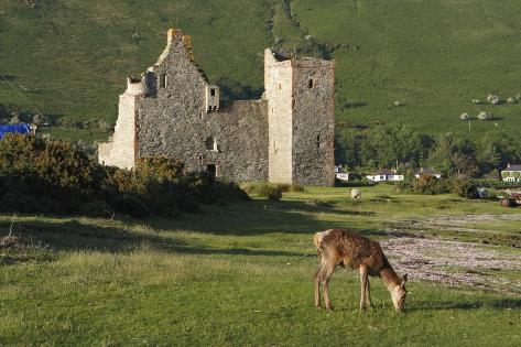 Photographic Print: Lochranza Castle, Arran, North Ayrshire, Scotland by Peter Thompson: 12x8in