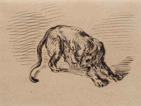 Giclee Print: Tiger Frightened by a Snake, 1858 (Pen and Ink on Tracing Paper) by Eugene Delacroix: 12x9in