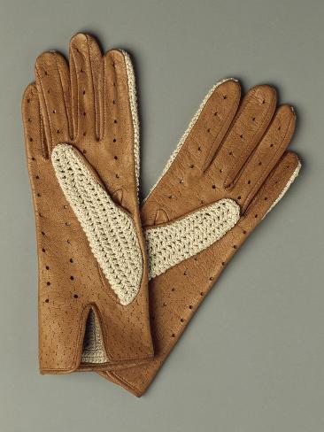 Giclee Print: Pair of Leather and Lace Gloves: 12x9in