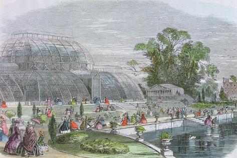 Giclee Print: Kew Gardens: Palm House: 18x12in