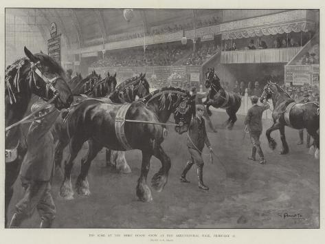 Giclee Print: The King at the Shire Horse Show at the Agricultural Hall, 27 February by G.S. Amato: 12x9in