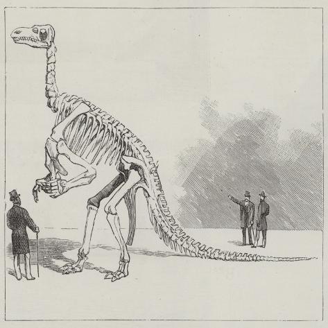 Giclee Print: The Iguanodon of Bernissart: 16x16in