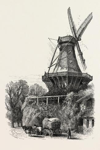 Giclee Print: The Windmill, Potsdam, Germany, 19th Century: 18x12in