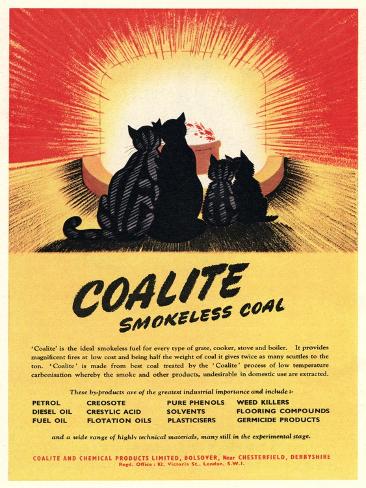 Giclee Print: Advert for 'Coalite' Smokeless Coal: 12x9in