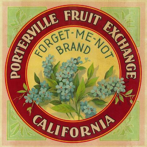 Art Print: Forget Me Not Orange Label - Porterville, CA by Lantern Press: 12x12in