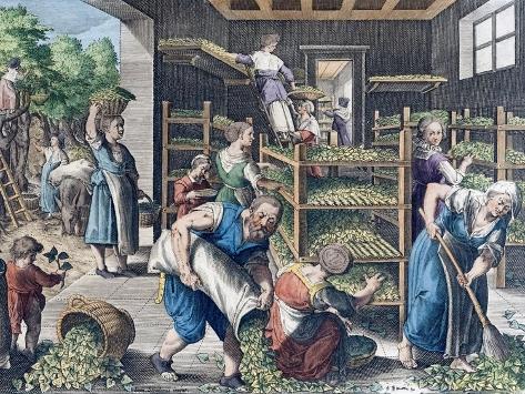 Giclee Print: Silk Production in Europe in the 16Th Century (Print) by Jan van der (1523-1605) (after) Straet: 12x9in
