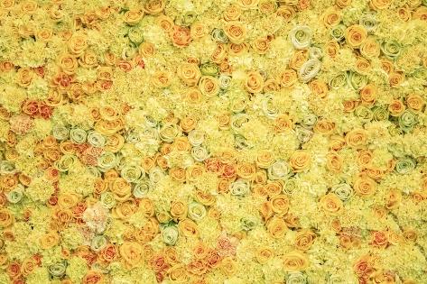 Photographic Print: Floral Background. Bright Fresh Yellow Flowers of Roses, Colorful Natural Composition by Svetlanais: 12x8in