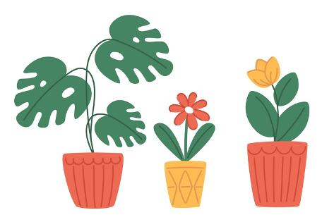 Photographic Print: Set of Indoor Plants in Modern Pots in Flat Style by Yuliia Kutsaieva: 12x8in