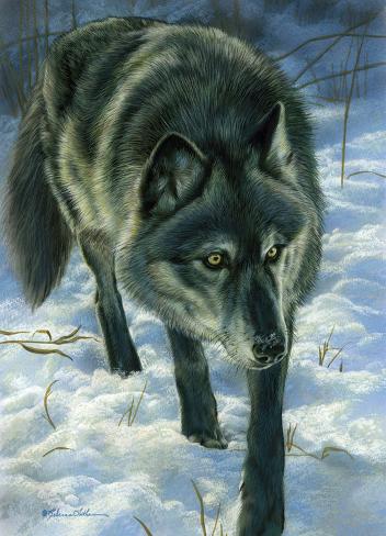 Art Print: Winter Trail - Wolf by Rebecca Latham: 68x50in