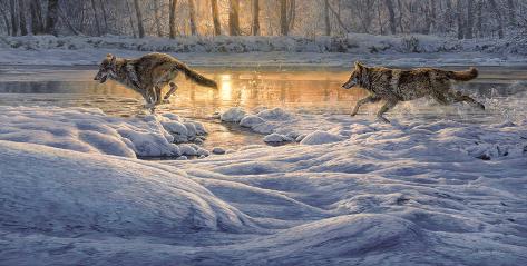 Giclee Print: Upping the Pace (Chasing Wolves) by Martin Ridley: 16x28in