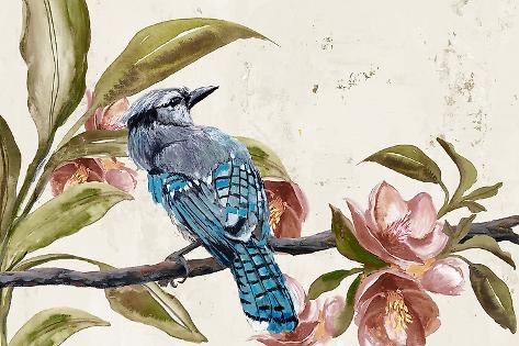 Art Print: Blue Bird by Jacob Q: 18x12in