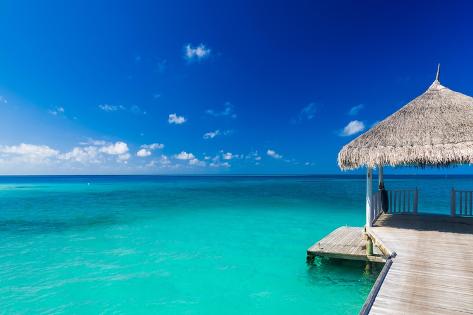 Photo: Exotic paradise banner, water bungalow, villa. Travel, tourism vacations concept. Tropical resort a: 12x8in