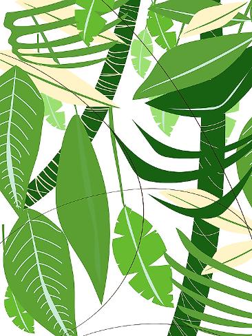 Giclee Print: Lush Green Leaves and Tropical Foliage by Nicholas: 12x9in