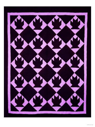 Giclee Print: An Amish Pieced & Quilted Cotton Coverlet, Indiana or Ohio, circa 1910: 24x18in