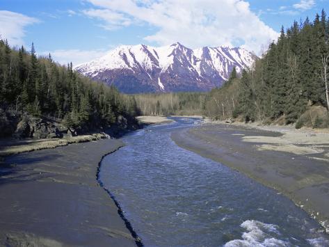 Photographic Print: Bird Creek Along the Seward Highway, Girdwood, Alaska, USA by Alison Wright: 24x18in