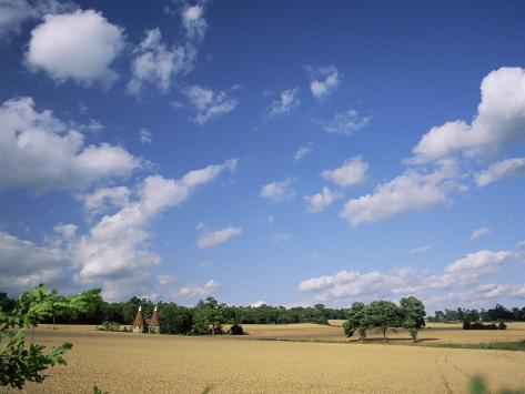 Photographic Print: Rural Landscape with Oasthouses, Ightham Near Sevenoaks, Kent, England, UK by Ruth Tomlinson: 24x18in