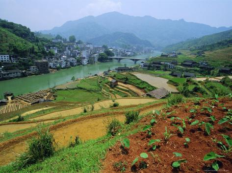 Photographic Print: Rice Paddies and Brick-Maker at Longsheng in Northeast Guangxi Province, China by Robert Francis: 24x18in