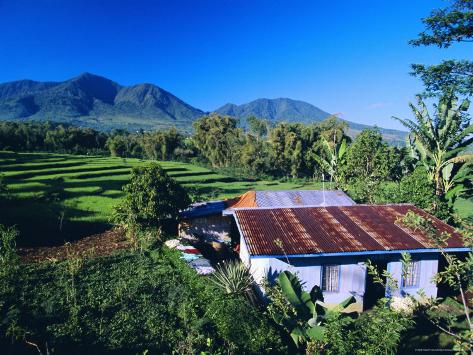 Photographic Print: House Amidst the Rice Terraces in the Rice and Coffee Growing Heart of Western Flores, Indonesia by Robert Francis: 24x18in